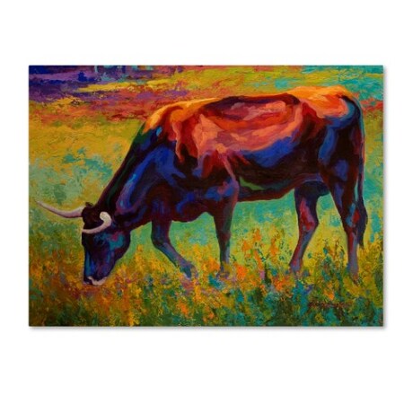 Marion Rose 'Grazing Longhorn' Canvas Art,18x24